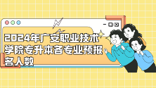 四川统招专升本——2024年广安职业技术学院专升本各专业预报名人数