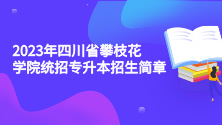 2023年四川省攀枝花学院统招专升本招生简章