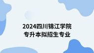 四川大学锦江学院2024年专升本拟招生专业