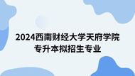 西南财经大学天府学院2024年专升本招生专业表