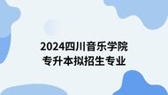 四川音乐学院2024年专升本考试招生简介