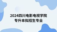 四川电影电视学院2024年（专升本）拟招考专业